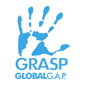Logo GRASP
